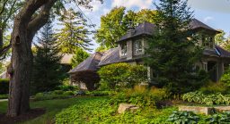 Beautiful Burlington Garden Yard and Tree Lined Street