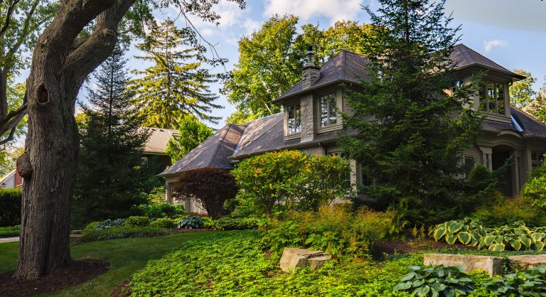 Beautiful Burlington Garden Yard and Tree Lined Street