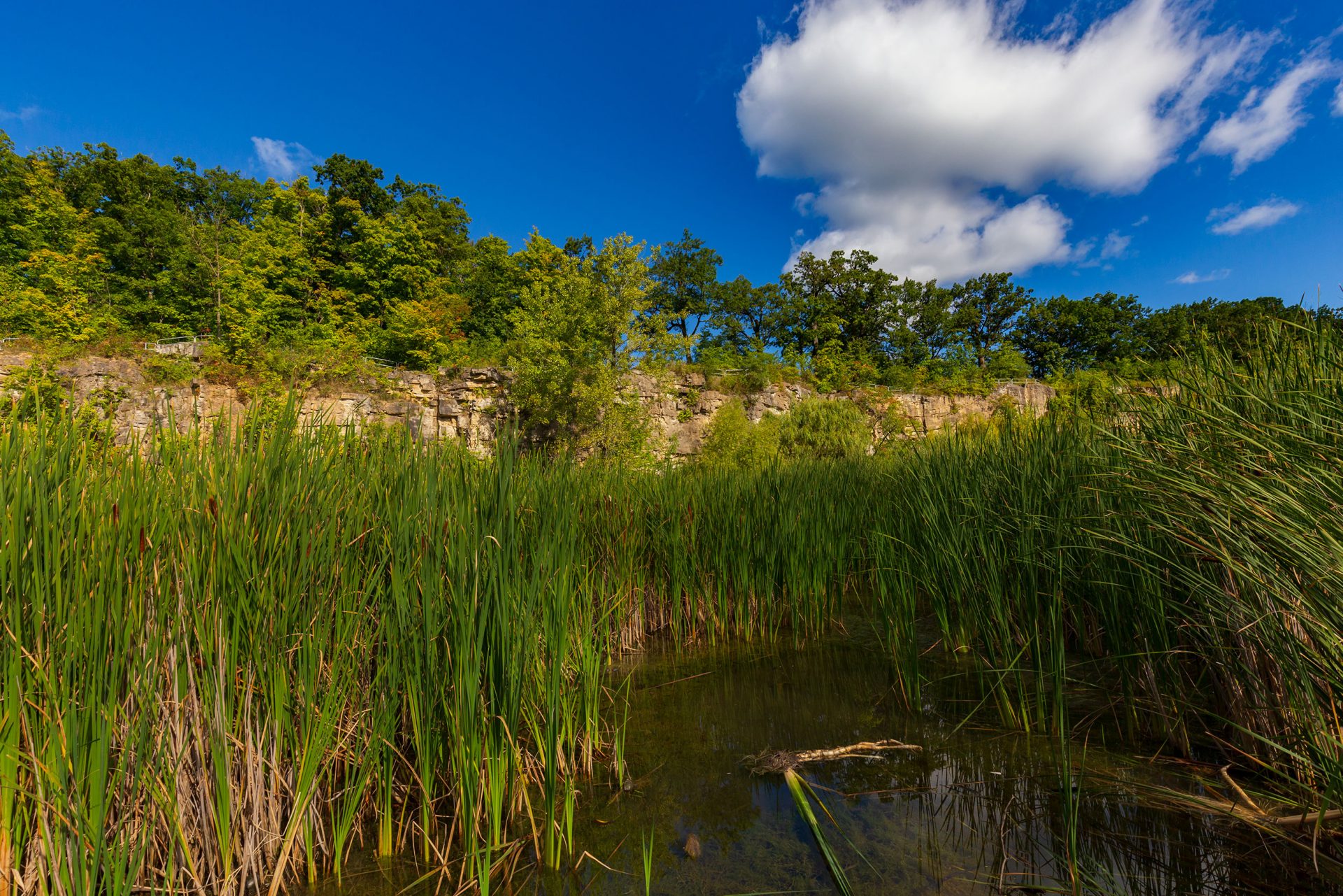 Tyandaga Neighbourhood Burlington Guide Real Estate Tyandaga Neighbourhood Burlington Guide Real Estate