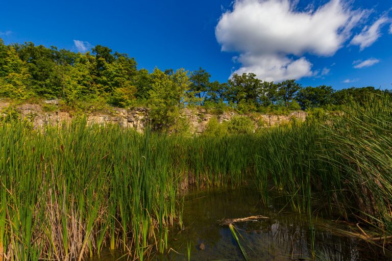 Kerncliff Park Tyandaga