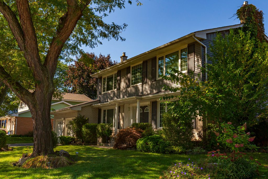 Tree Lined Street and Detached Home