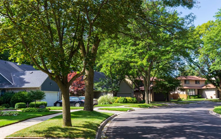 Tree lined street in Brant Hills Burlington
