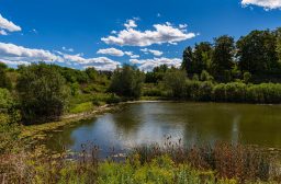 Joshua Creek Pond and Natural Space