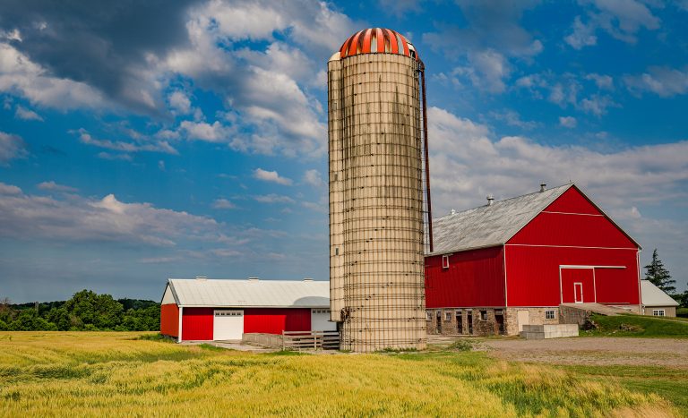 Rural Living Red Barn in Dundas Ontario