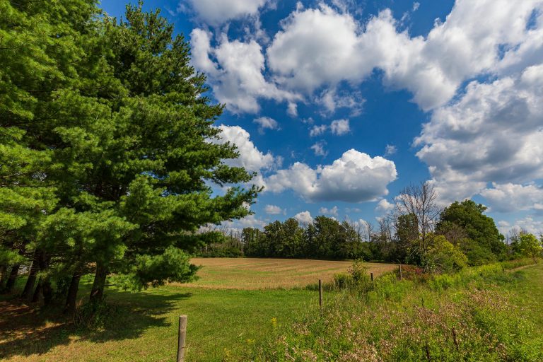 Close to Nature Waterdown Living