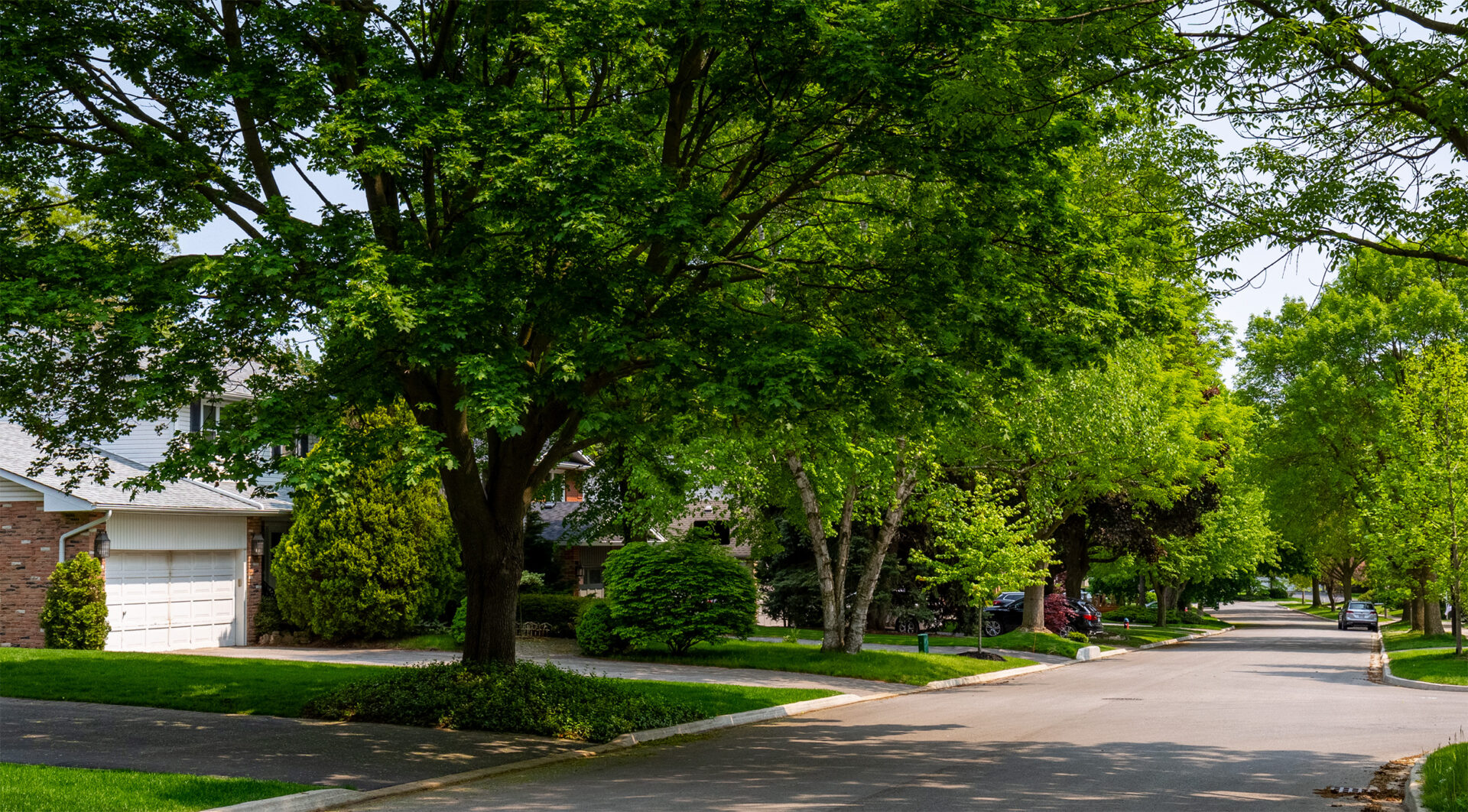 Mature Ford neighbourhood streets.